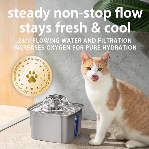 Multi-stage filtration system for cleaner water