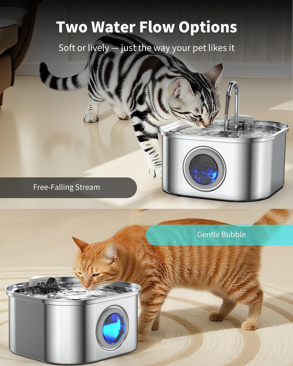 Vekonn 3.2L capacity supports multi-pet households and travel.