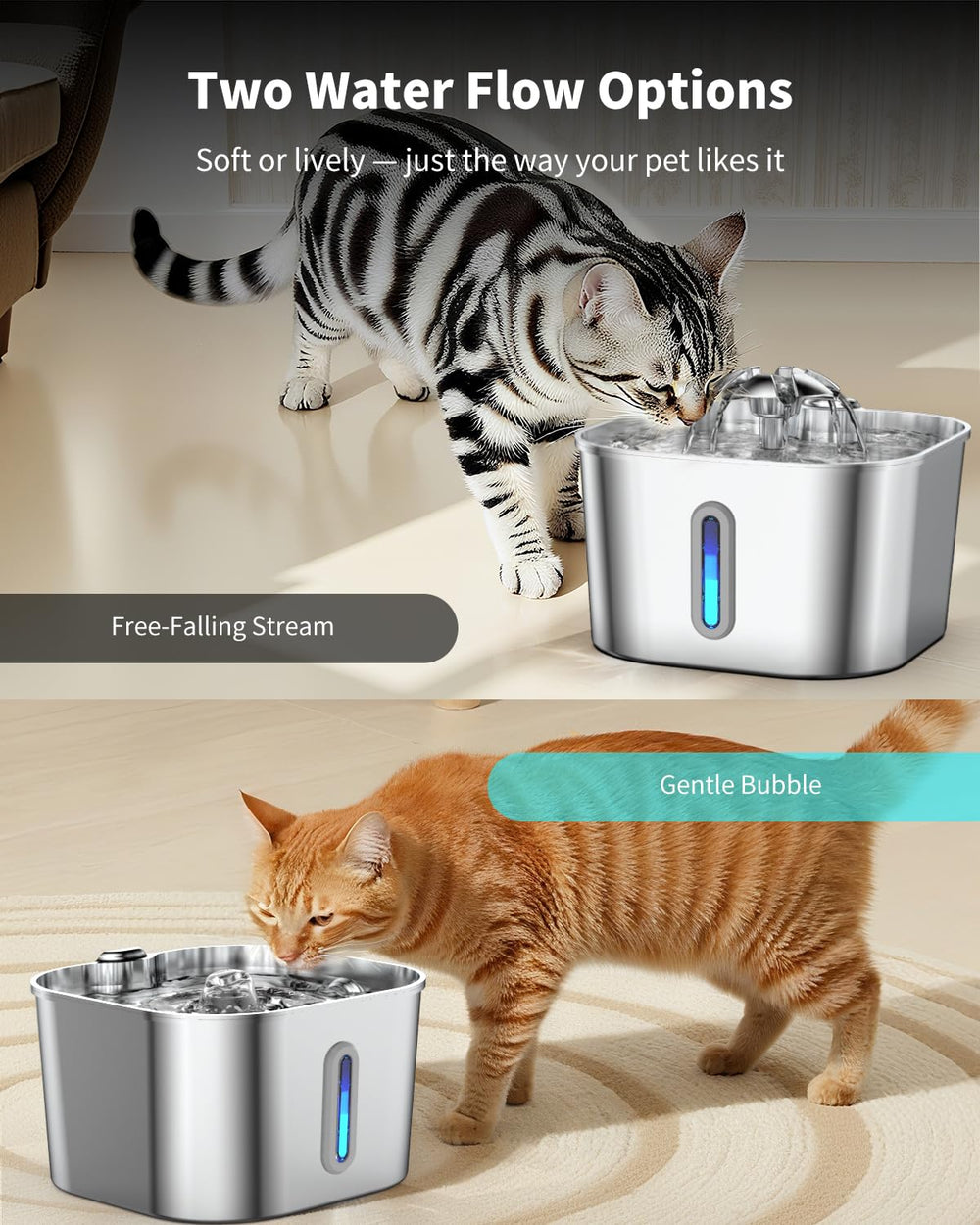 Vekonn cat water fountain 2.2L capacity suits multi-pet households well.