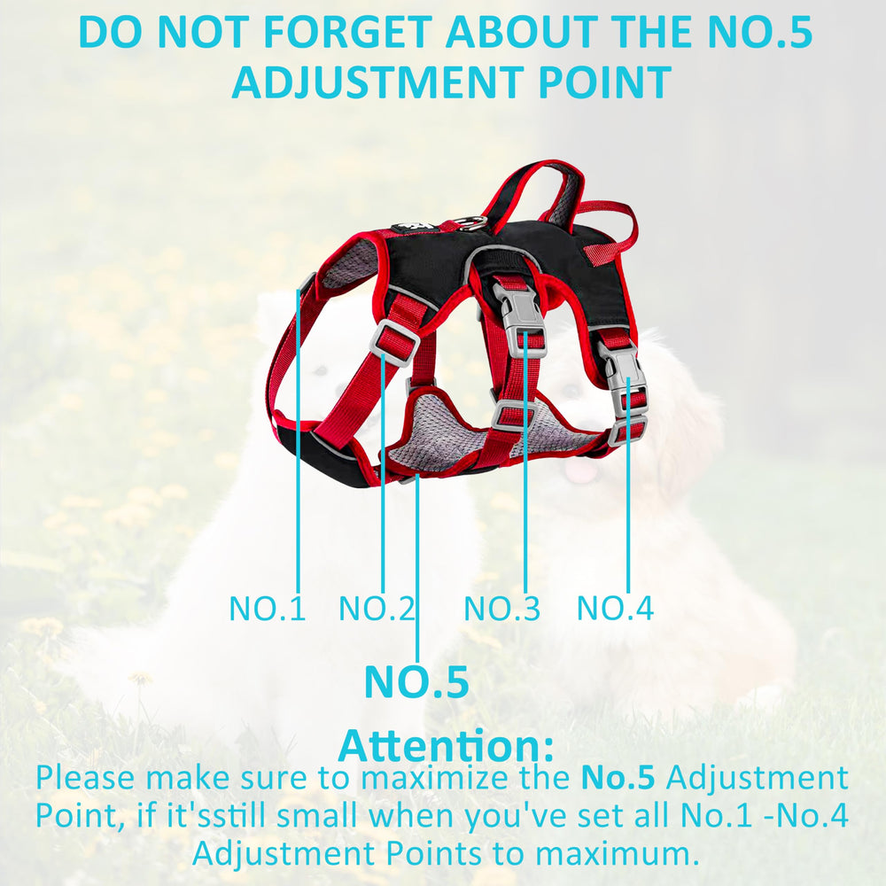 Velbano Escape Proof Harness reinforced D-ring enables secure leash control