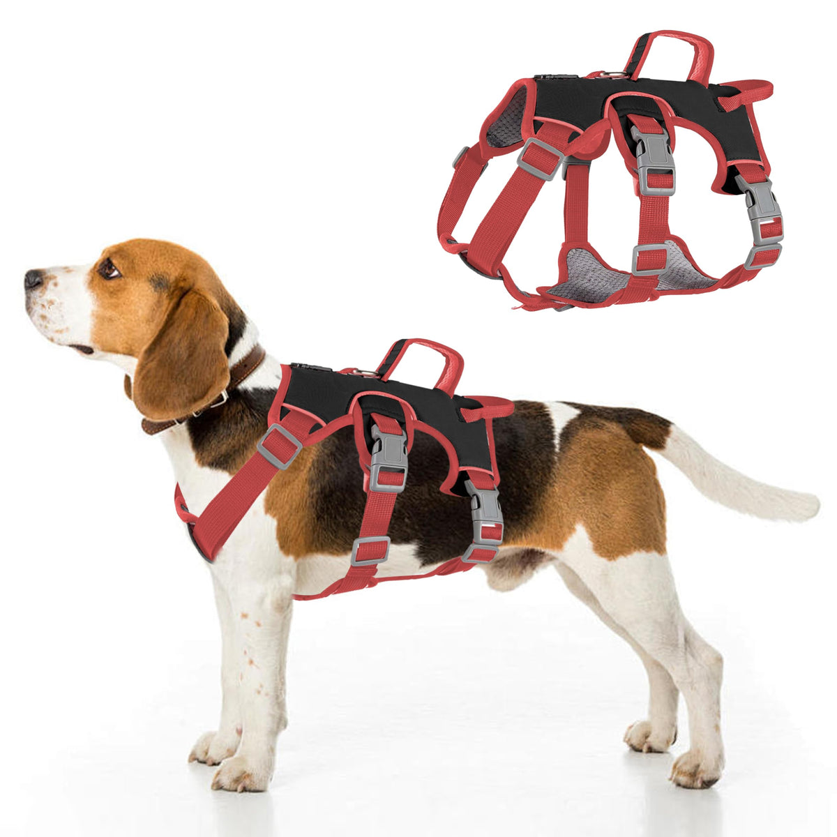Velbano Escape Proof Harness back view shows durable fabric and reflective safety for night walks