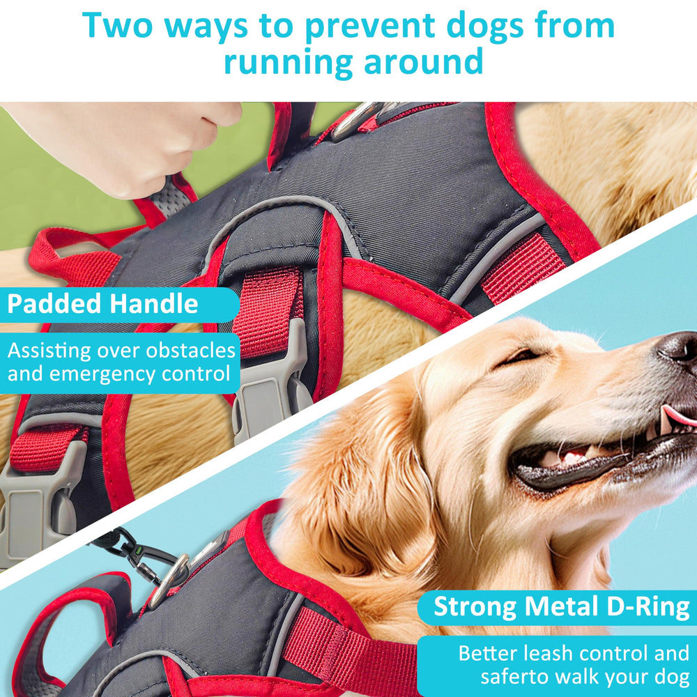 Velbano Escape Proof Harness rugged nylon fabric supports all season use