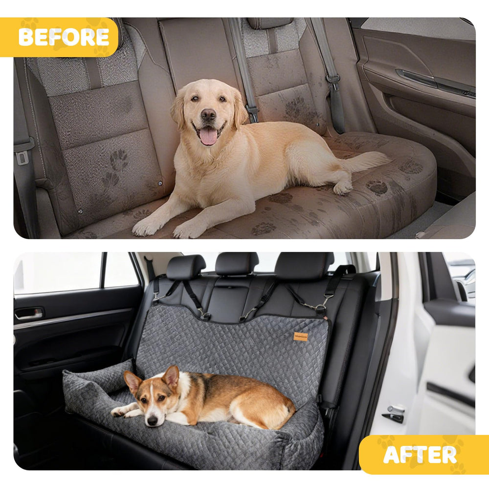 Velupet Zoom plush cover and sponge padding add comfy resting space.