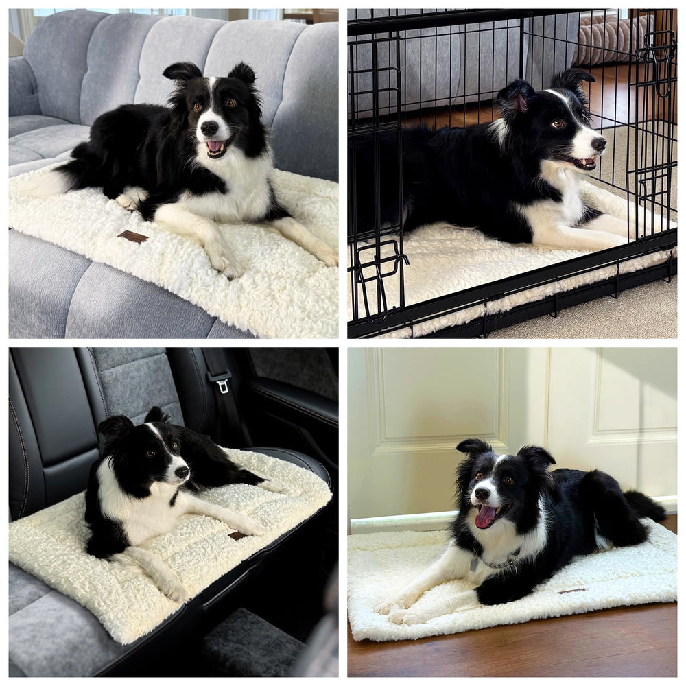 VERABE Fluffy Reversible Dog Bed Mat 35x22 inches for versatile spaces.