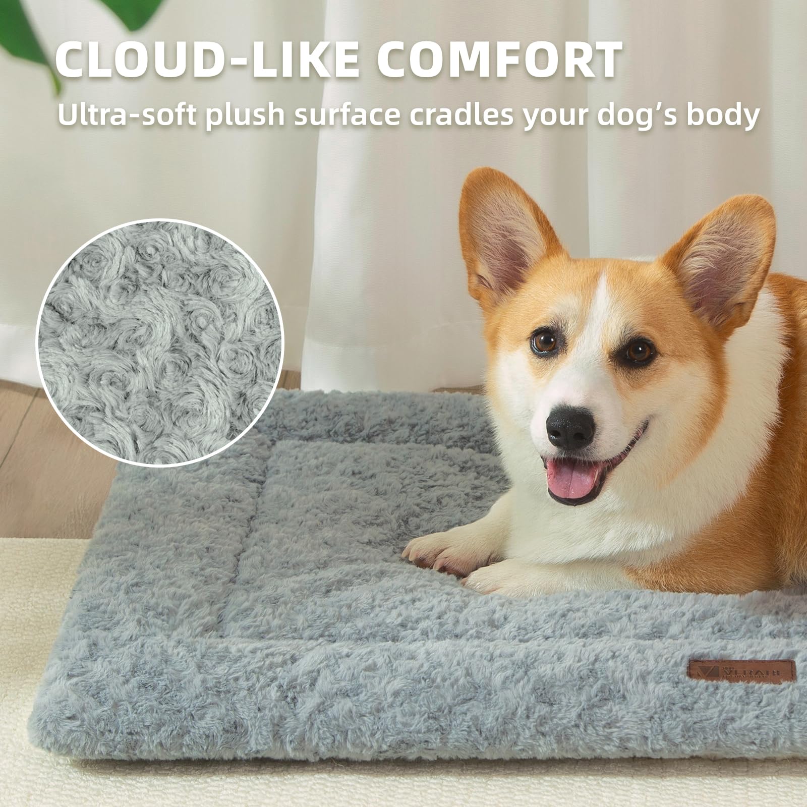 VERABE all-season cooling side delivers summer comfort for pets.