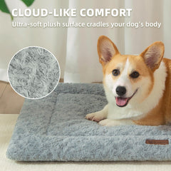 VERABE all-season cooling side delivers summer comfort for pets.