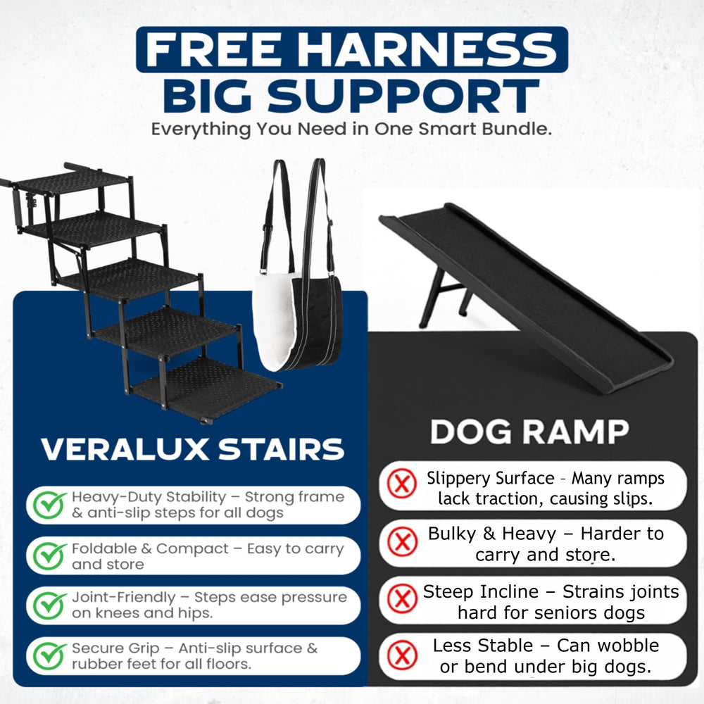 VERALUX non-slip deck provides secure footing for arthritic pets during vehicle access.