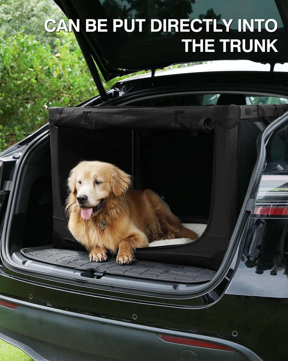 Veraste storage bag simplifies packing and portability for on-the-go use.