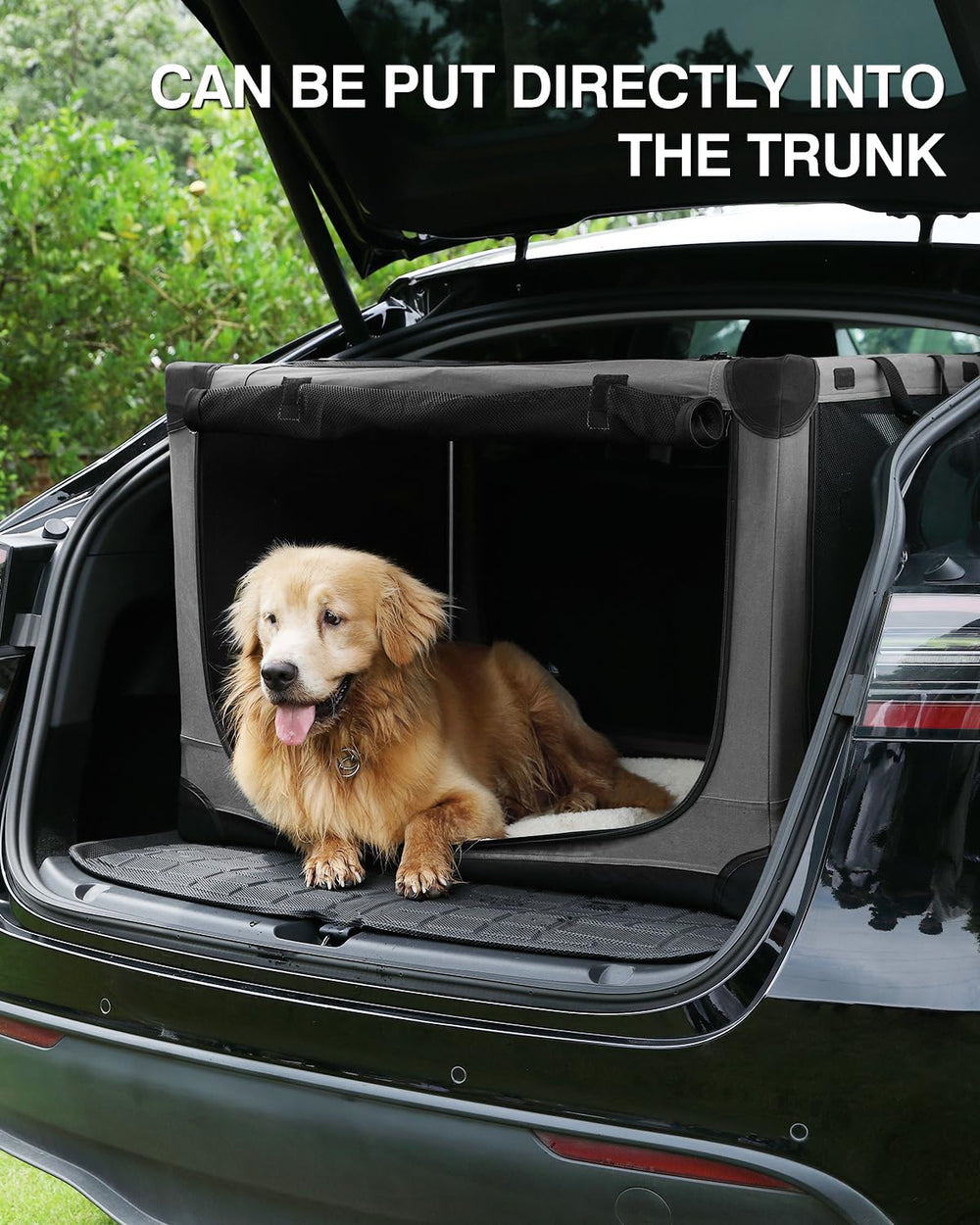 Veraste 24in travel dog crate durable mesh windows enabling ventilation.