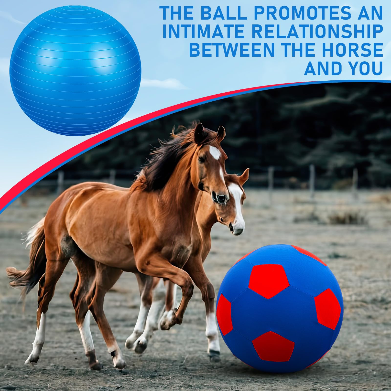 VercanMonth ball inflation steps figure 3 for correct setup and fit.