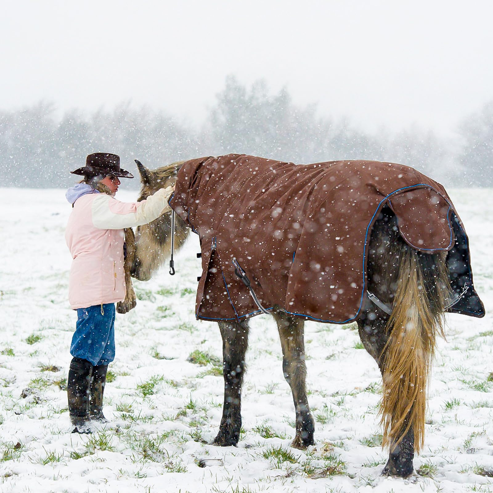 Verdanzia all-weather horse blanket strap keeps blankets secure year-round.