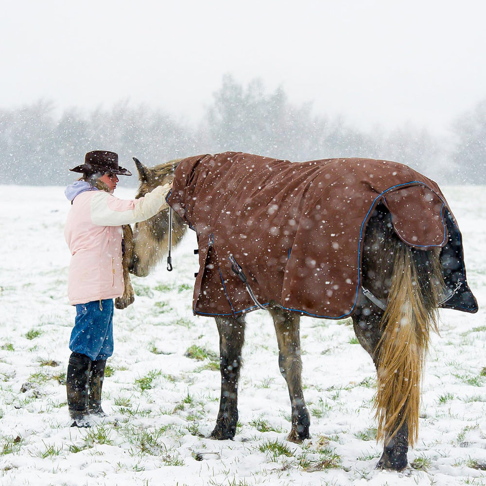 Verdanzia all-weather horse blanket strap keeps blankets secure year-round.