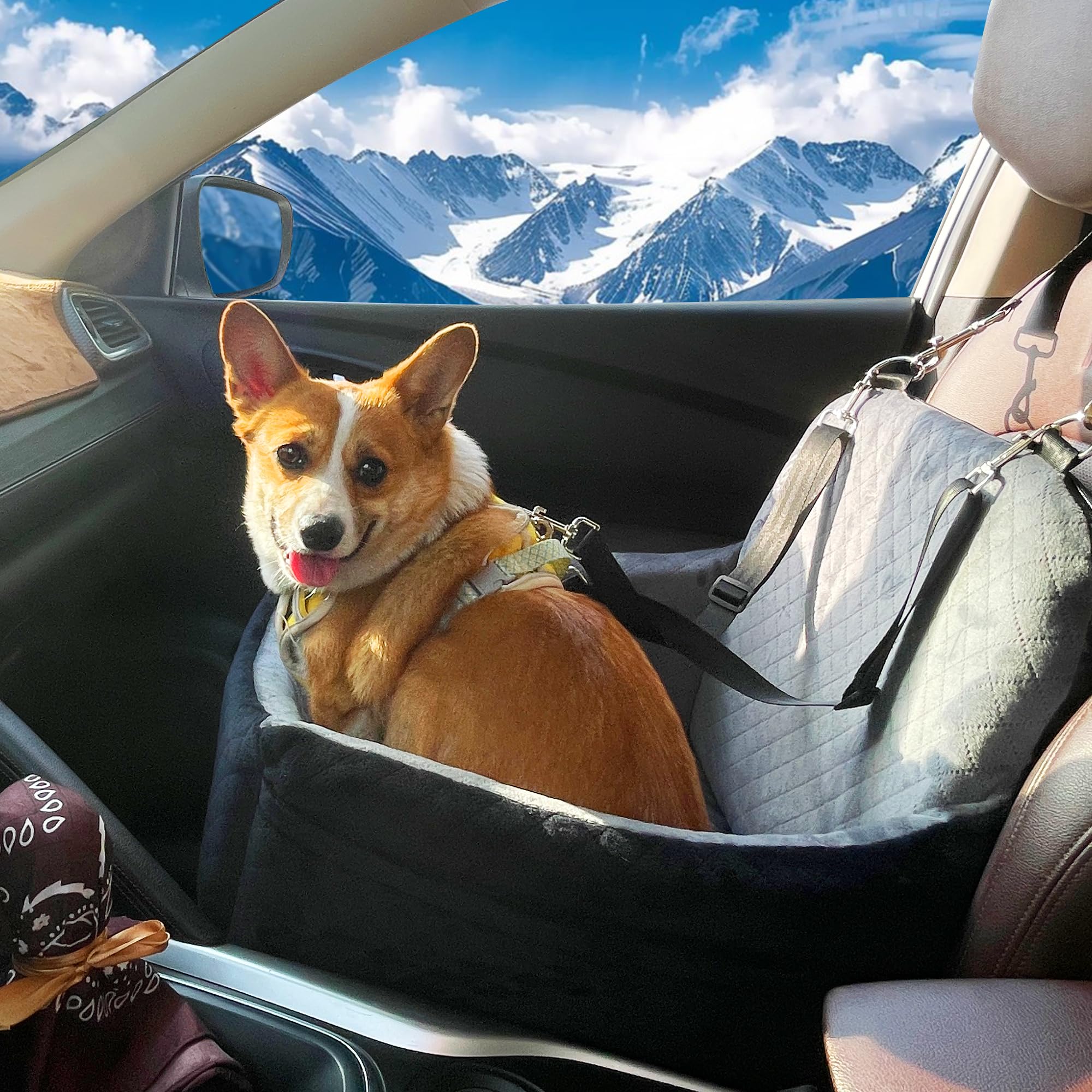 VERGODPRO removable-washable cover makes cleanup easy after trips.