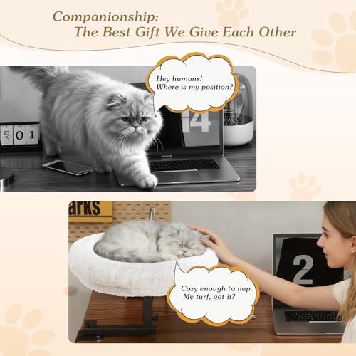 VERIFOST cat desk bed height adjustment keeps your cat comfortable at eye level