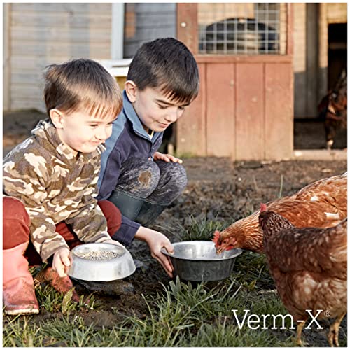 Verm-X chickens drinking water illustrates gentle, ongoing gut support.