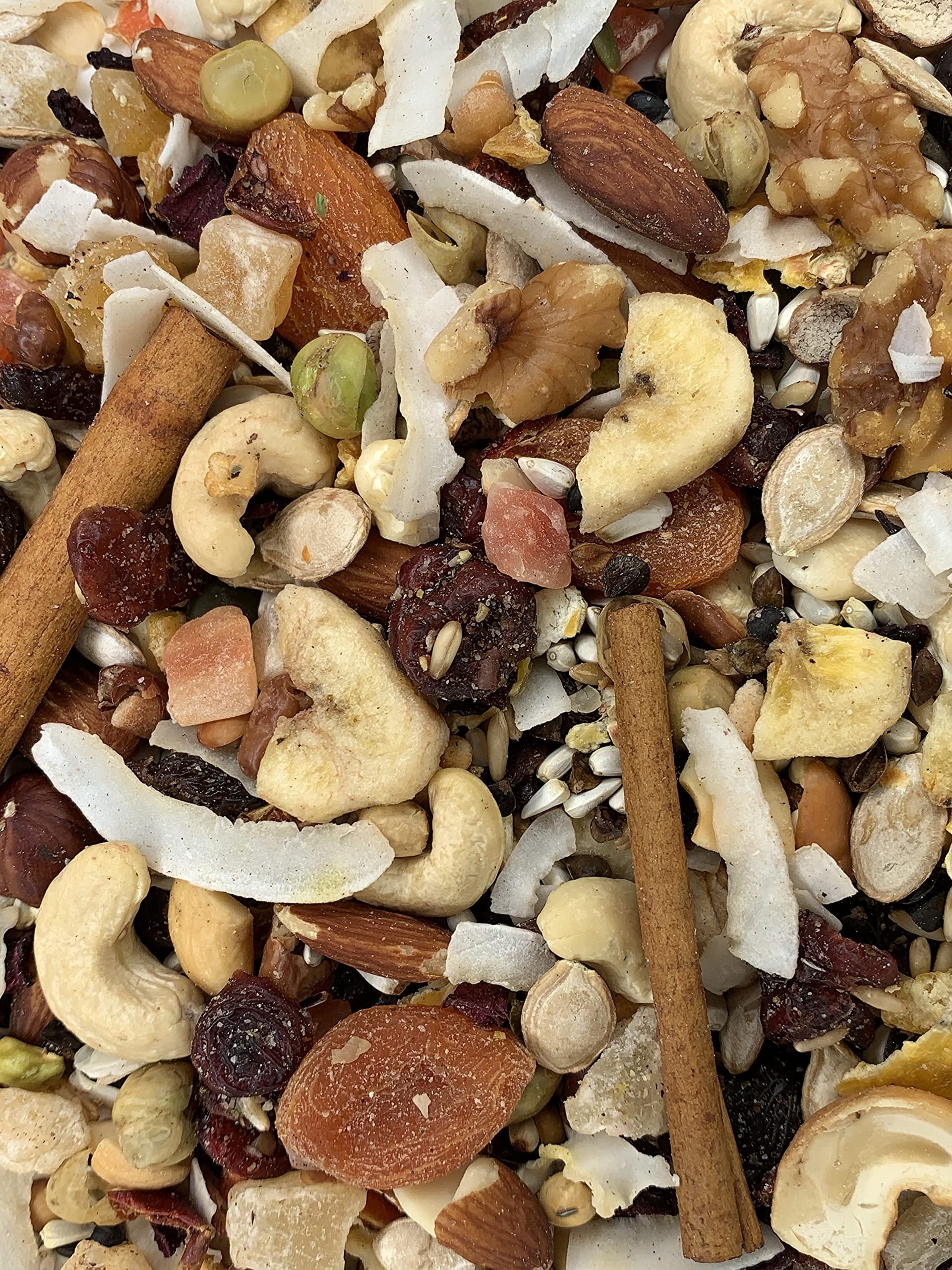 Versele-Laga VL Goldenfeast Madagascar Blend serving bowl—easy feeding and balanced nutrition during bird mealtime.