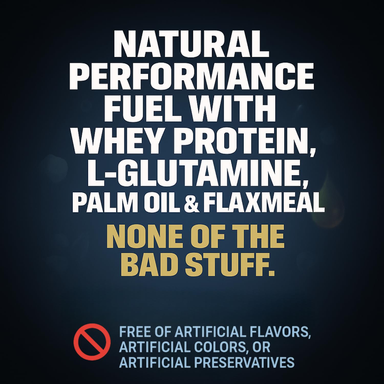 Vertex active dog training session shows performance focus and energy.