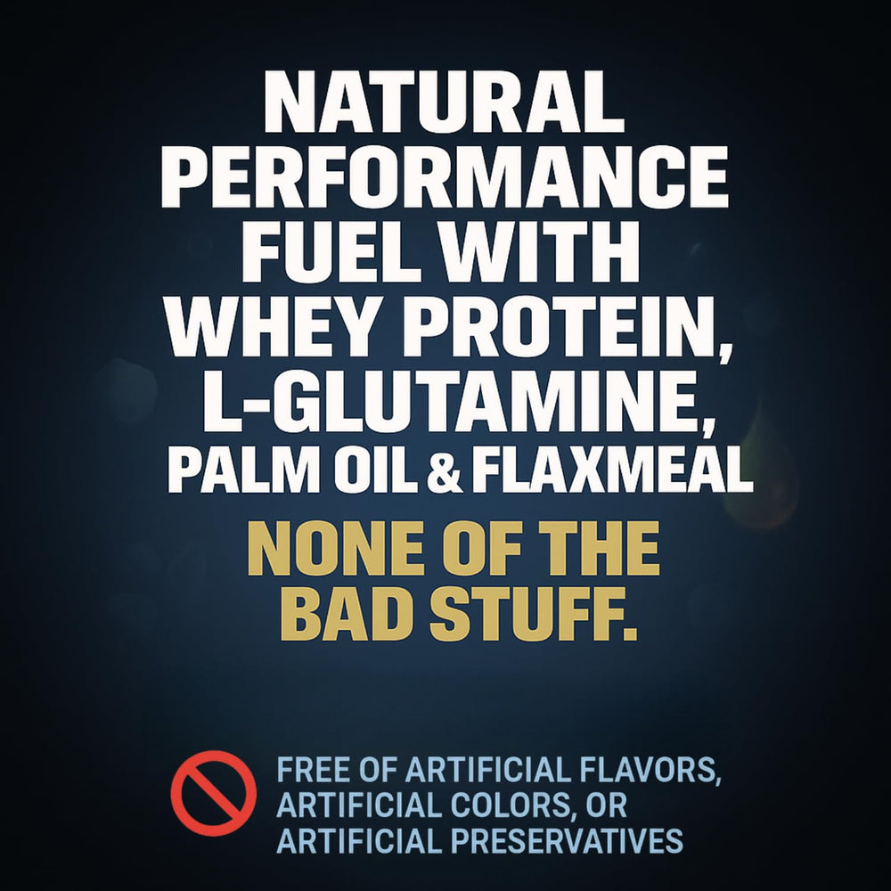 Vertex active dog training session shows performance focus and energy.