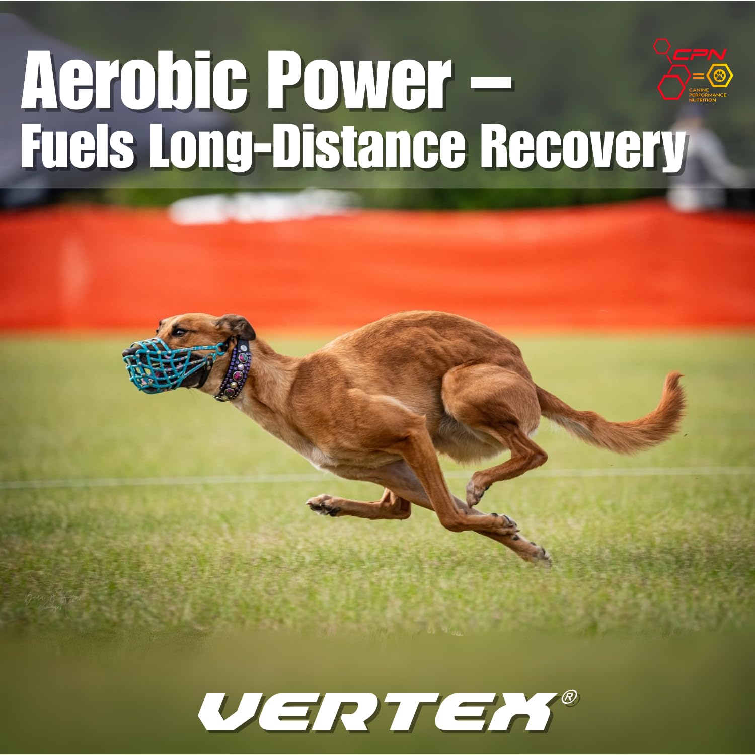 Vertex easy dosing daily use illustrates measuring 1–4 tablespoons for simple routine.