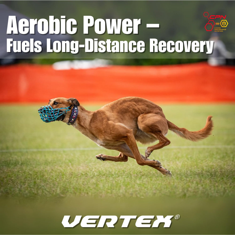 Vertex easy dosing dog supplement simple 1 4 tablespoon daily routine.