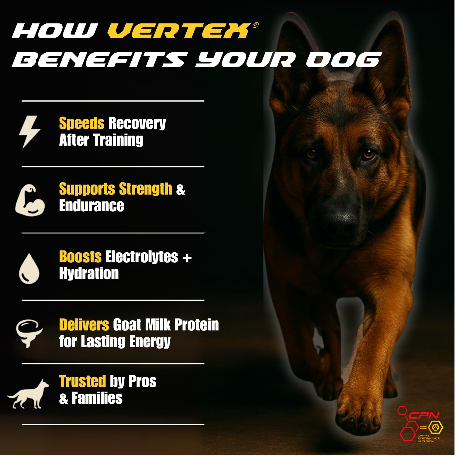 Vertex predigested liver whey egg powder close-up shows highly digestible protein aiding recovery.