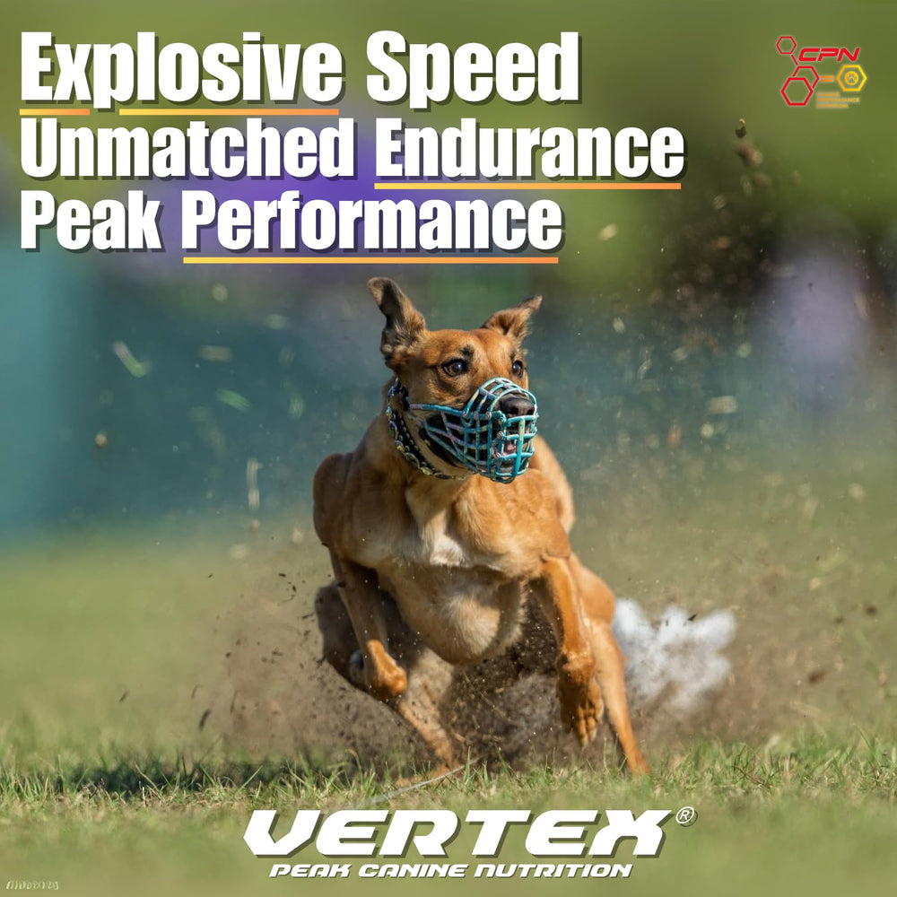 Vertex premium BCAAs and antioxidants-packed formula supports joints and energy for active dogs