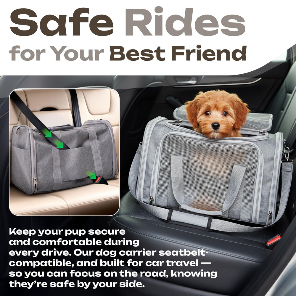 Vertical-Pro multi-use soft bag carrier suitable for pets