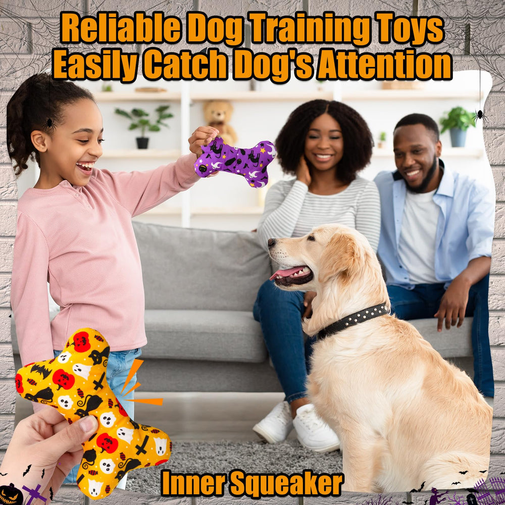 Vertintong dog toy play session montage for active dogs