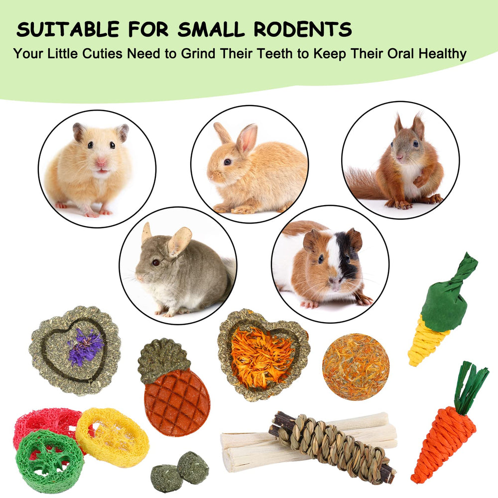 VESPRO Bunny Toys rose grass ball promotes interactive play and molar wear.