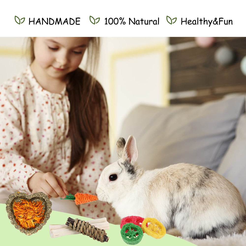 VESPRO Bunny Toys Timothy grass ball captures attention with bright colors and safe chewing.