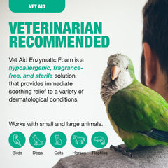 Vet Aid foam application on cat illustrates protective, soothing wound care.
