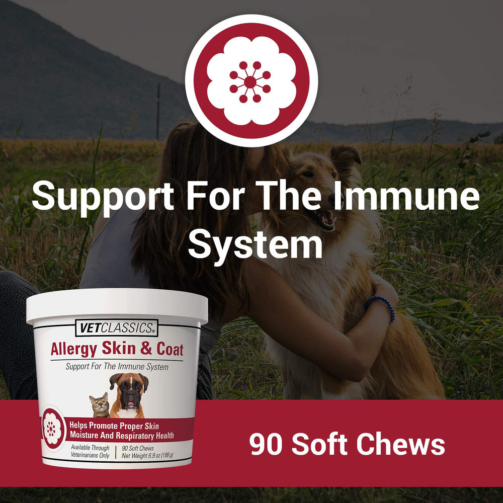 Vet Classics allergy skin coat soft chews for dogs and cats supports immune health.