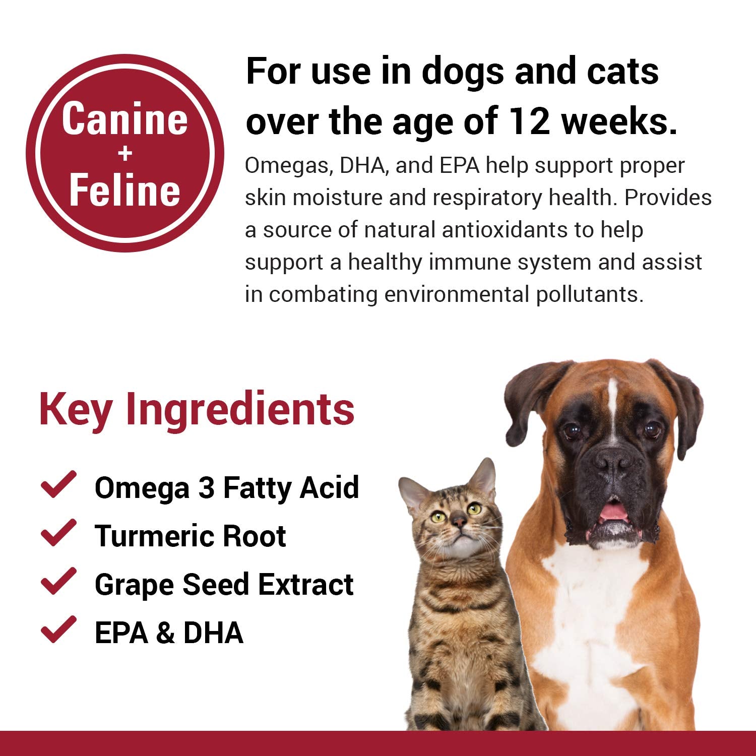 Vet Classics allergy skin coat soft chews texture close-up emphasizes palatability.