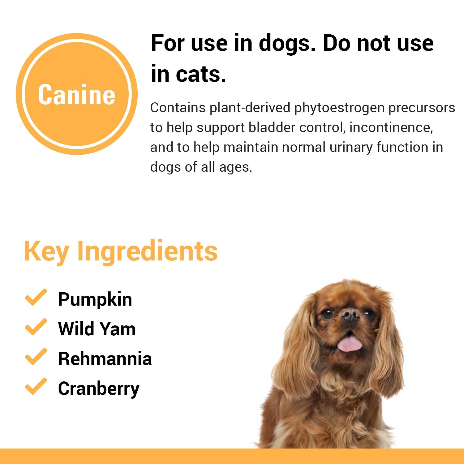 Ingredients like cranberry and pumpkin in Vet Classics bladder-support formula