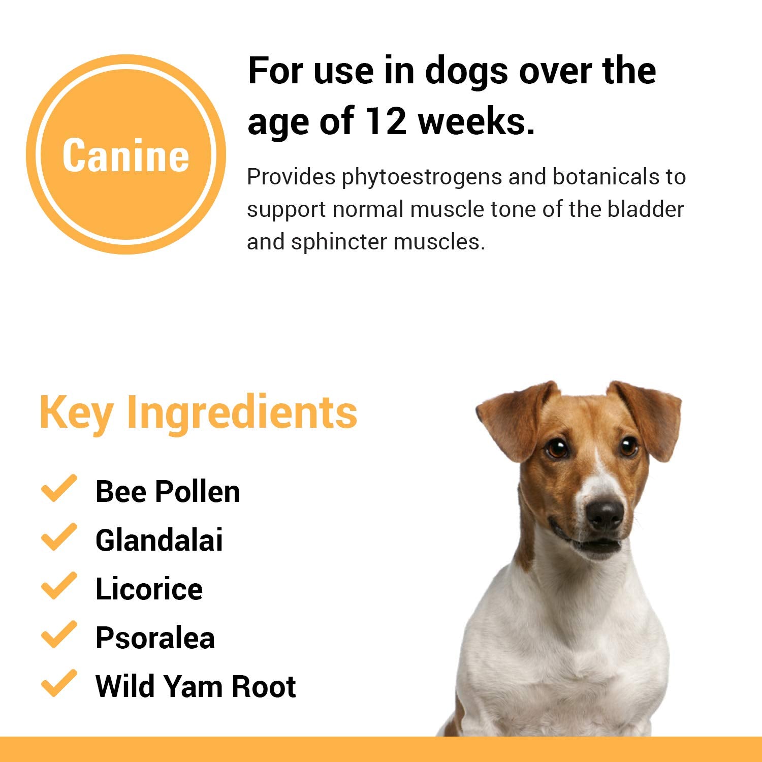 Vet Classics urinary tract support for female dogs