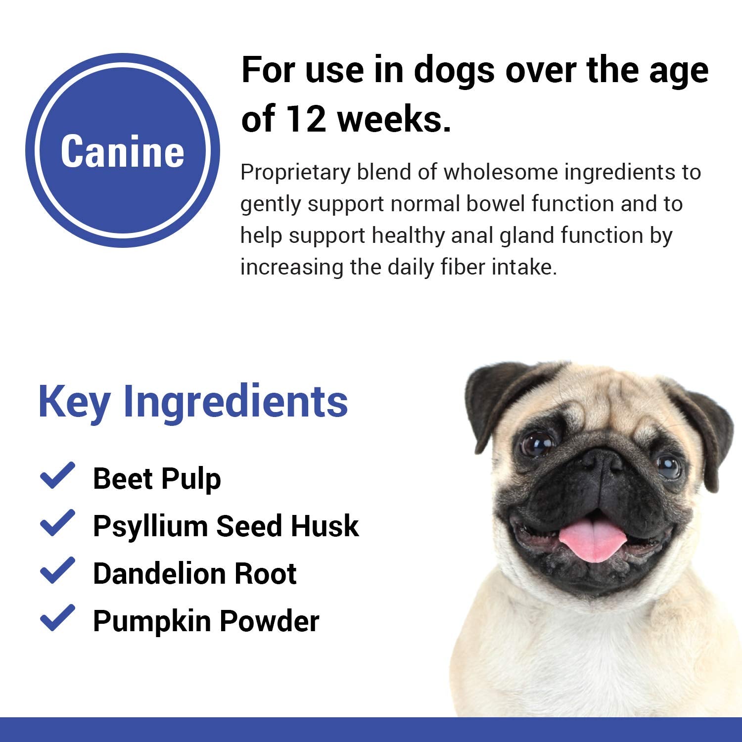 Vet Classics No Scoot anal gland focus graphic suggests gentle routine for healthy glands.