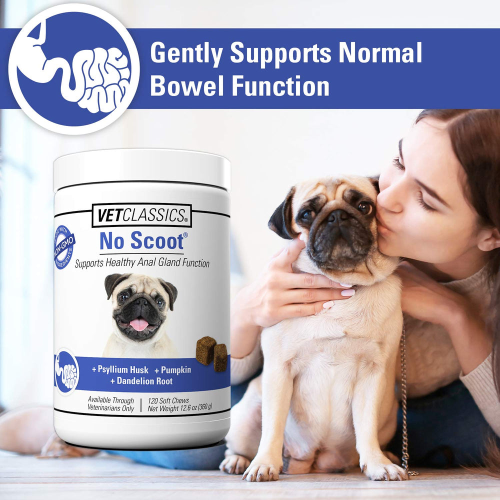 Vet Classics No Scoot bottle clearly communicates veterinarian-formulated support for dogs' digestion.
