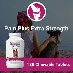 Vet Classics Pain Plus chews dispensed for joint support in a dog