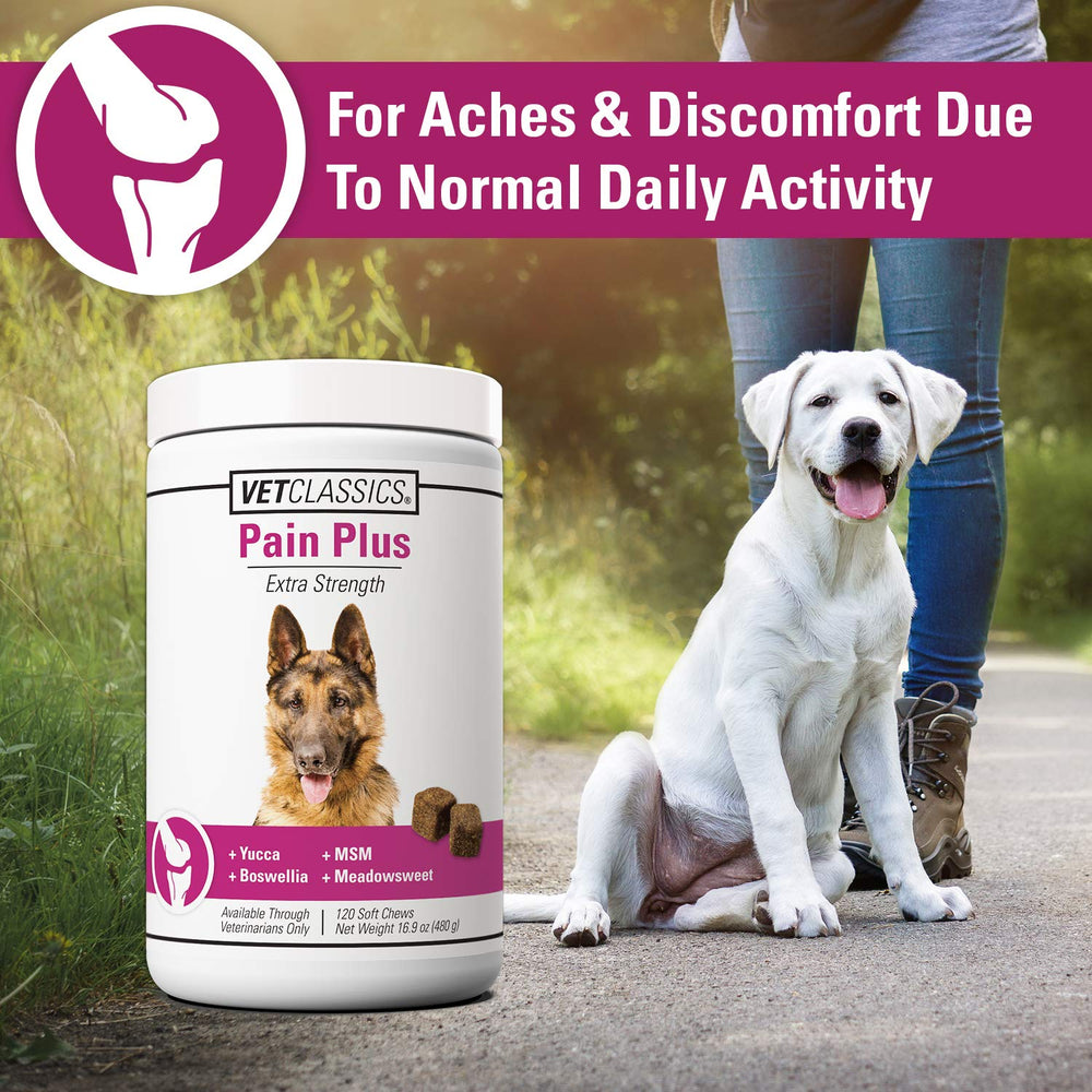 Vet Classics Pain Plus dog activity demonstrates easier movement with extra-strength formula