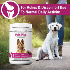 Vet Classics Pain Plus dog activity demonstrates easier movement with extra-strength formula