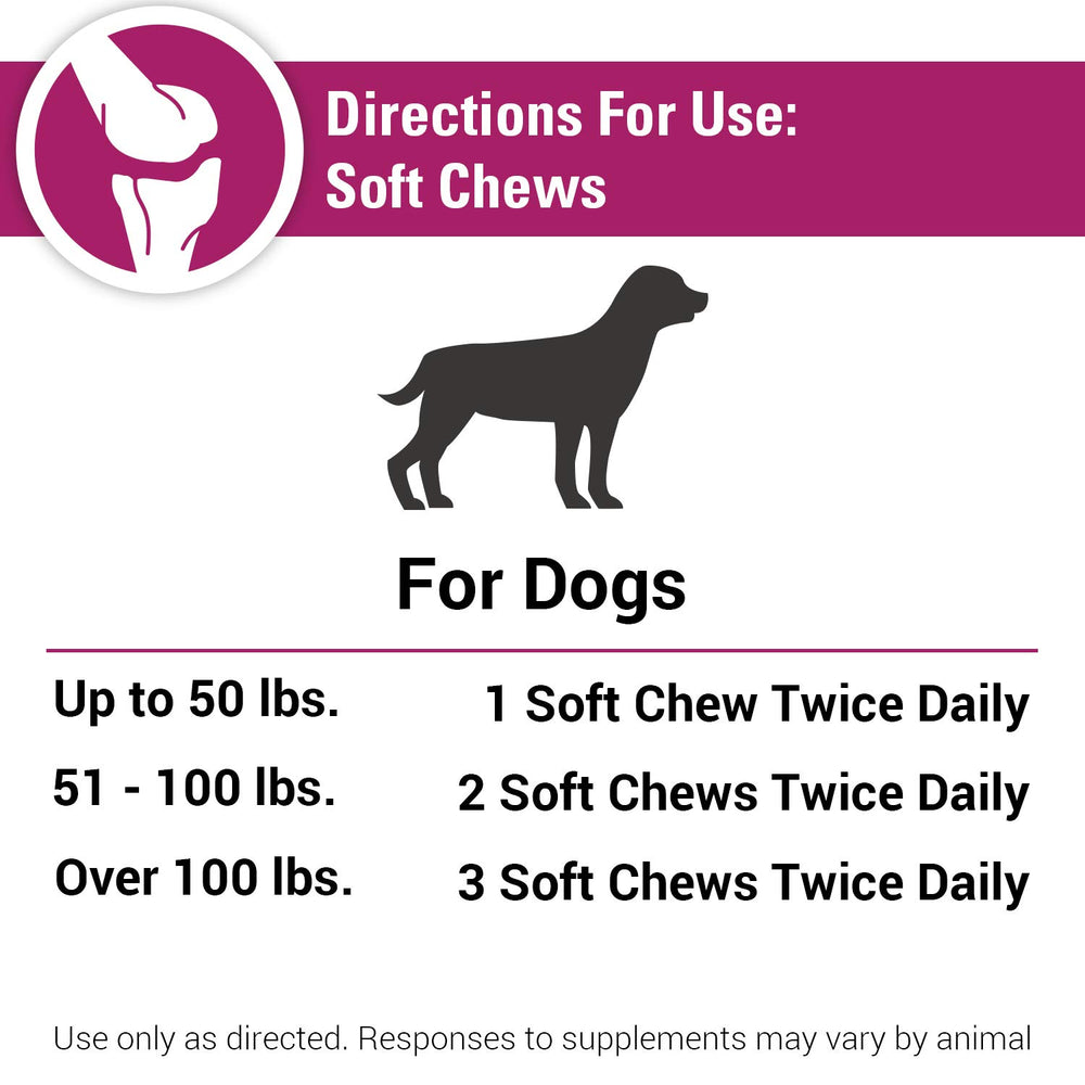 Vet Classics Pain Plus packaging display conveys trusted veterinarian-developed option