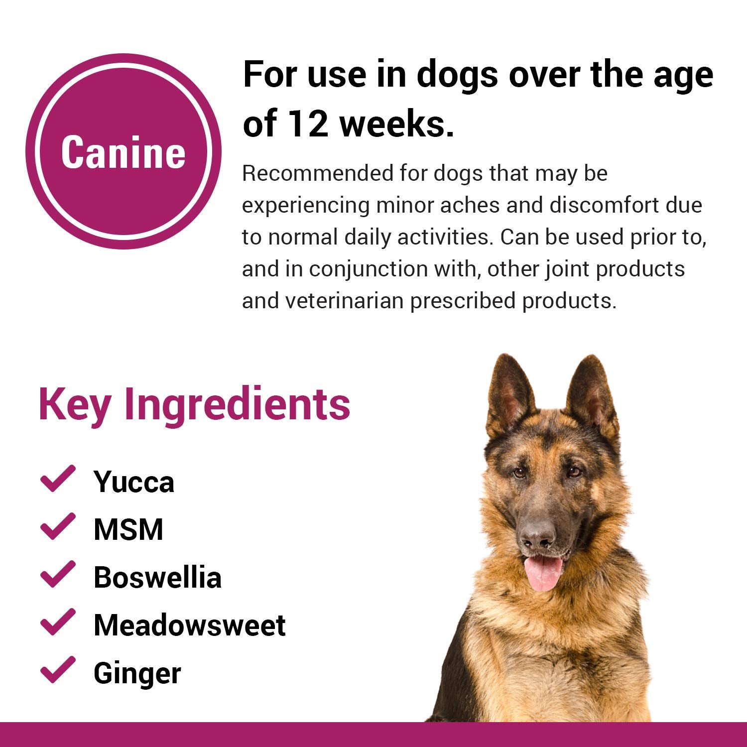 Vet Classics Pain Plus packaging with a running dog illustrating movement support