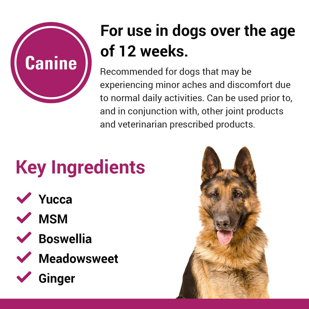 Vet Classics Pain Plus packaging with a running dog illustrating movement support
