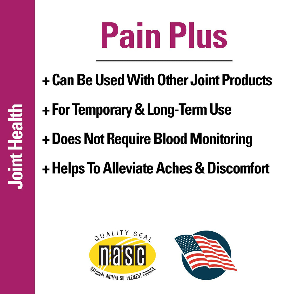 Vet Classics Pain Plus soft chews beside a dog ready for activity