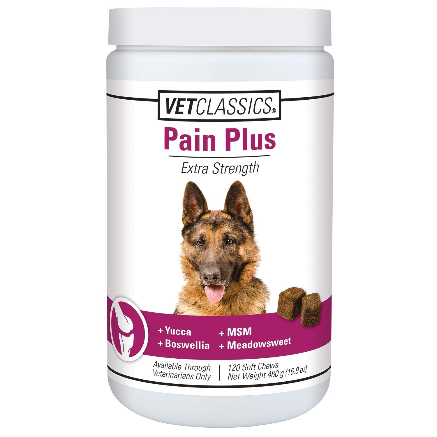 Vet Classics Pain Plus soft chews bottle supports daily comfort for dogs during activity