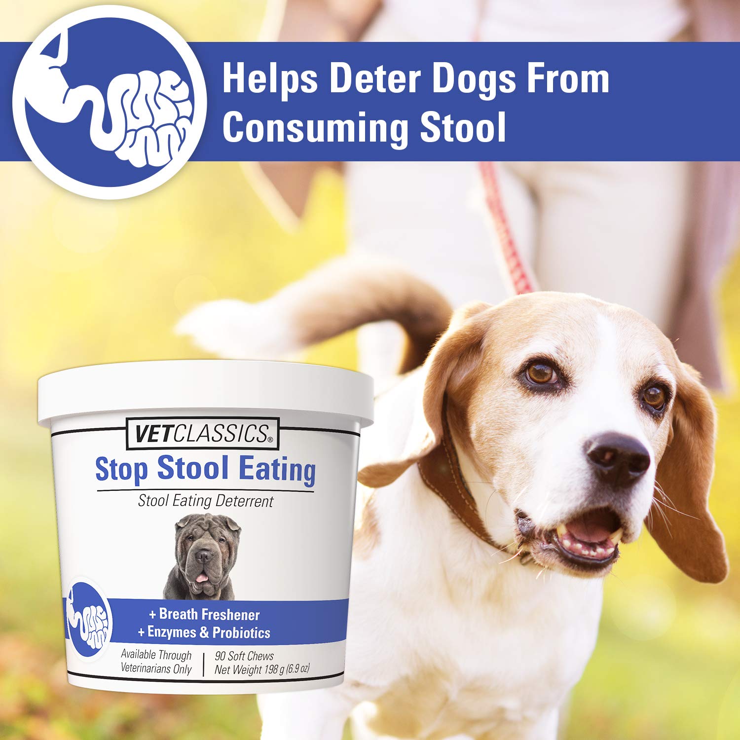 Happy dog with Vet Classics chews demonstrates breath-freshening support.
