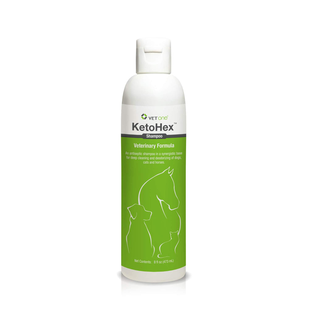 Vet One dog allergy shampoo bottle in view for gentle cleansing after outdoor play.