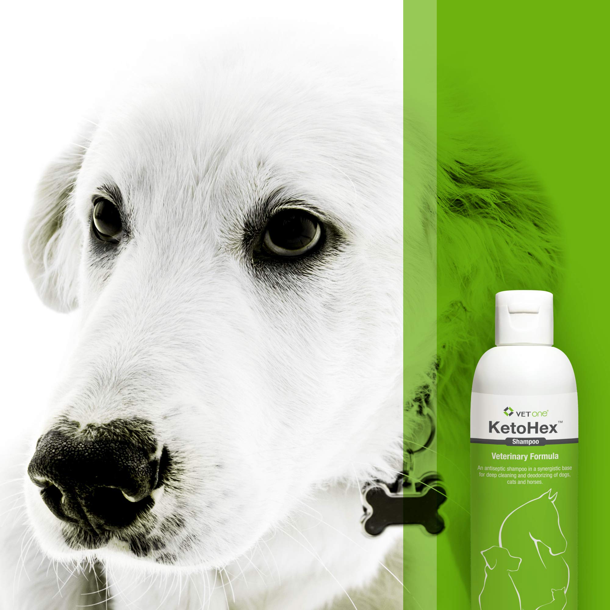 Vet One dog allergy shampoo grooming scene shows bathed, content pet.