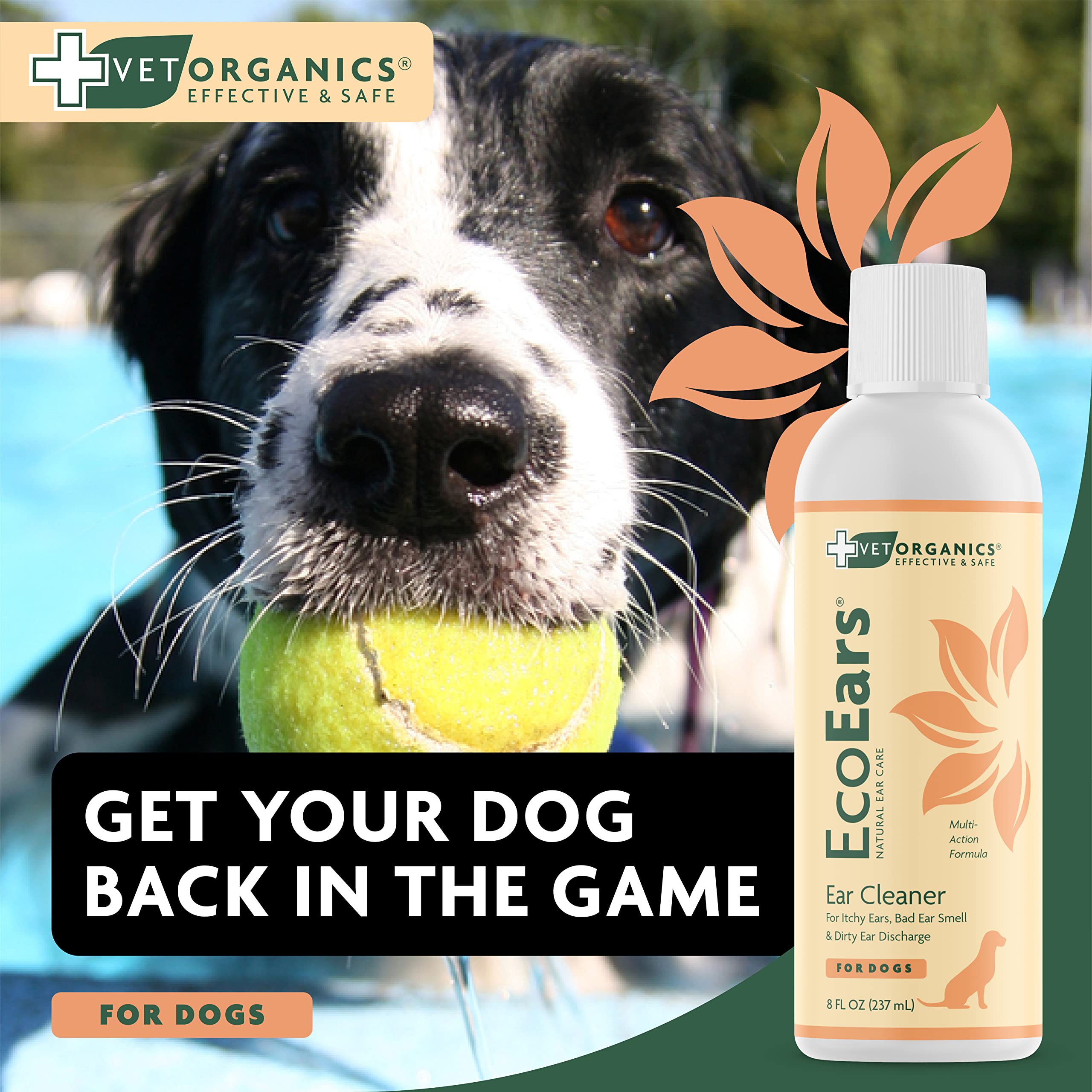 EcoEars supports post water activity care for dogs