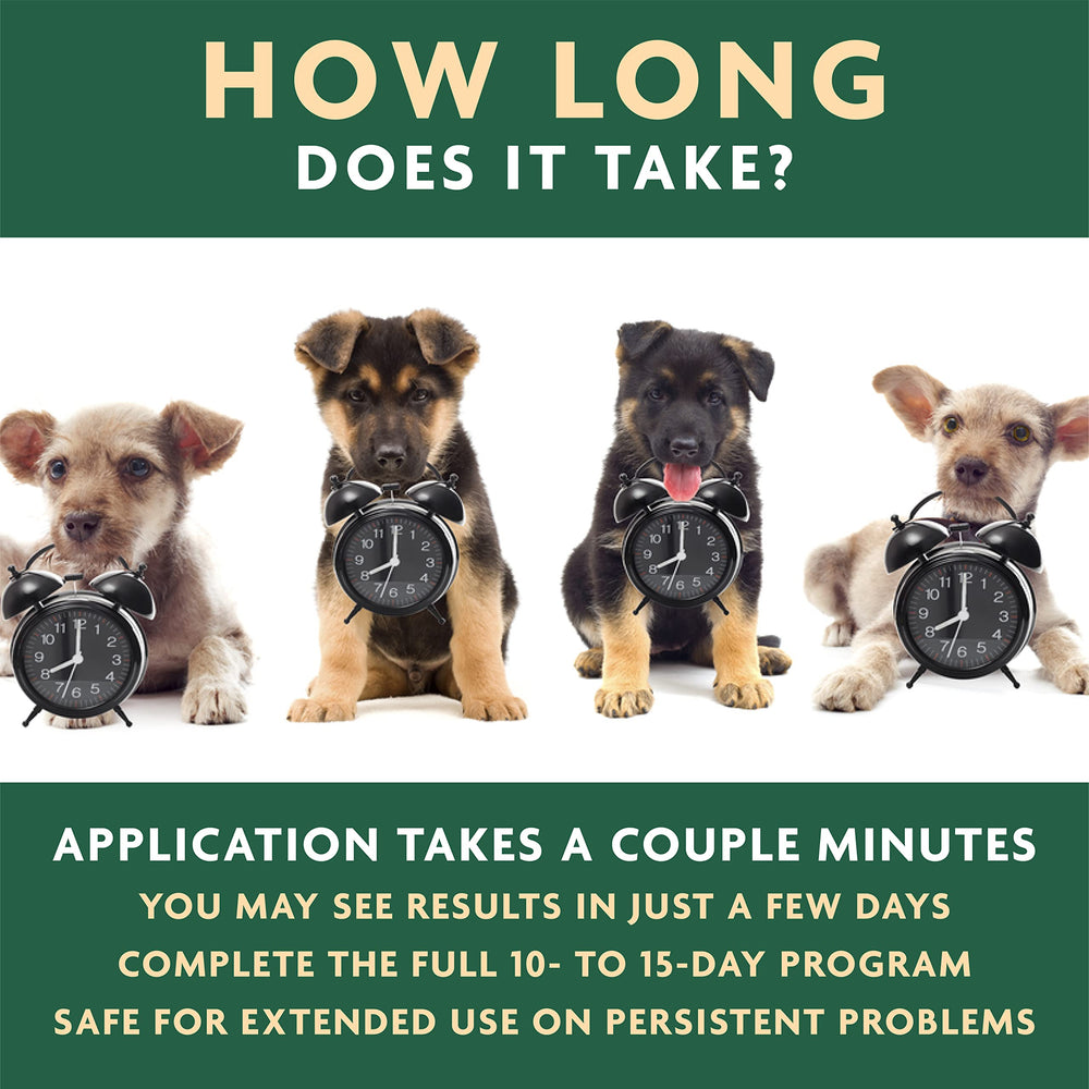 Getting ahead of ear odor and debris with Vet Organics EcoEars